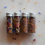 Phytoestrogen Hormone Balance: Why Red Clover Could Be Your Secret Weapon