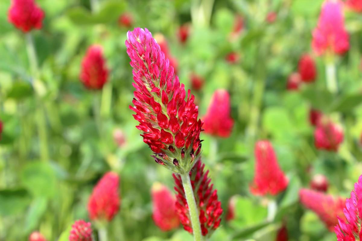 Female Hormone Remedy: 7 Proven Ways to Avoid Painful Imbalances